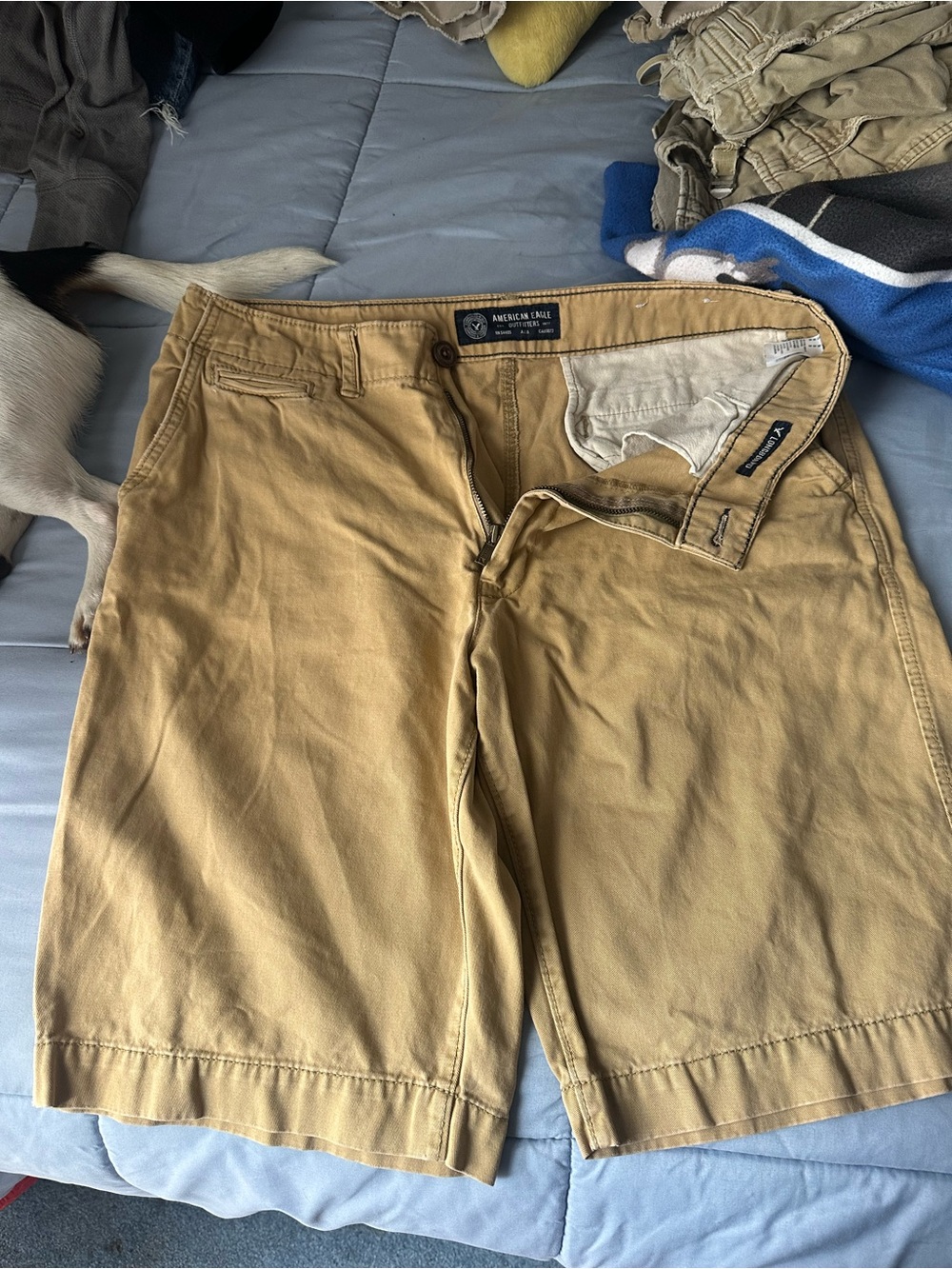 American Eagle Outfitters Men’s Tan Flat Front Shorts